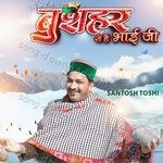 Bushahr Se Hai Bhai Ji - Birbal Song Download